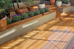 Polished wooden decking with raised planters – Pierce Project Ltd
